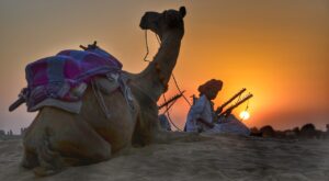 rajasthan, camel, safari, nature, trekking, evening, dusk, sunset, entertainers, music, indian, people, men, adventure, travel, desert, tourism, brown music, brown travel, brown sunset, brown desert, rajasthan, rajasthan, rajasthan, rajasthan, rajasthan