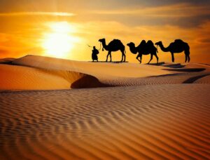caravan, desert, safari, dune, camels, ride, more, rajasthan, camel, trekking, evening, dusk, sunset, entertainers, music, indian, nature, people, men, adventure, travel, tourism, brown music, brown travel, brown sunset, brown desert, rajasthan, rajasthan, rajasthan, rajasthan, rajasthan